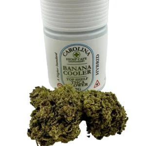 Banana Cooler THCA Flower | Top Shelf Hybrid | 25% THCA | 2% CBD