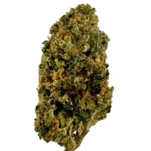 Mimosa THCA Flower | Top Shelf Sativa | 28% THCA