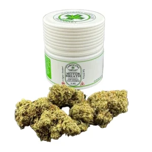 Motorbreath Top Shelf THCA Flower